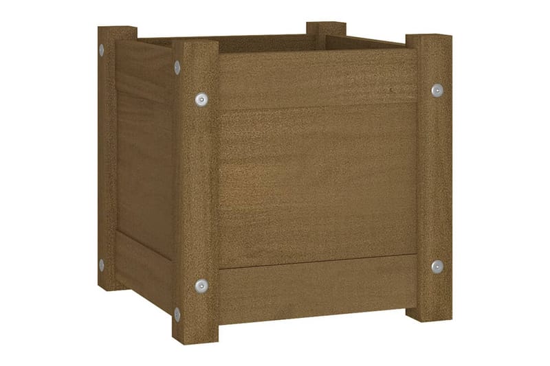Odlingslåda honungsbrun 31x31x31 cm massiv furu - Honung - Utemöbler - Övrigt utemöbler - Tillbehör - Övriga trädgårdstillbehör