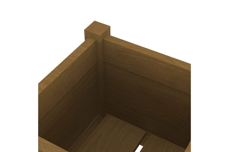 Odlingslåda honungsbrun 31x31x70 cm massiv furu - Honung - Utemöbler - Övrigt utemöbler - Tillbehör - Övriga trädgårdstillbehör