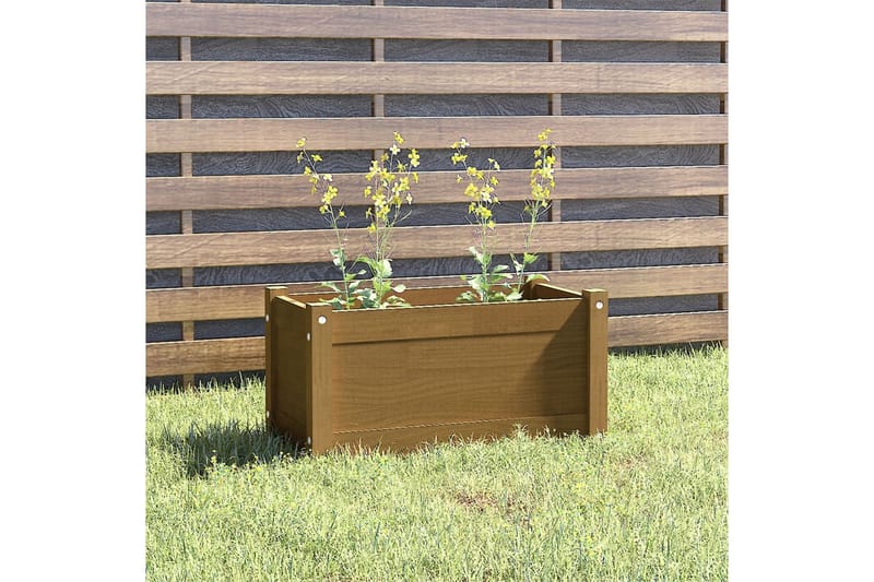 Odlingslåda honungsbrun 60x31x31 cm massiv furu - Honung - Utemöbler - Övrigt utemöbler - Tillbehör - Övriga trädgårdstillbehör