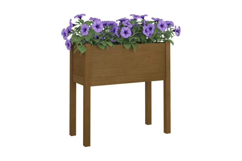Odlingslåda honungsbrun 70x31x70 cm massiv furu - Honung - Utemöbler - Övrigt utemöbler - Tillbehör - Övriga trädgårdstillbehör