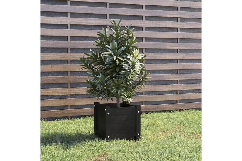 Odlingslåda svart 31x31x31 cm massiv furu - Svart - Utemöbler - Övrigt utemöbler - Tillbehör - Övriga trädgårdstillbehör