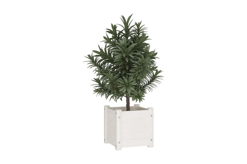 Odlingslåda vit 31x31x31 cm massiv furu - Vit - Utemöbler - Övrigt utemöbler - Tillbehör - Övriga trädgårdstillbehör