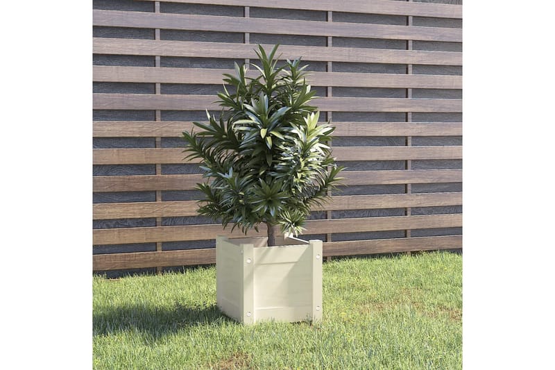 Odlingslåda vit 31x31x31 cm massiv furu - Vit - Utemöbler - Övrigt utemöbler - Tillbehör - Övriga trädgårdstillbehör