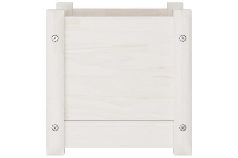 Odlingslåda vit 31x31x31 cm massiv furu - Vit - Utemöbler - Övrigt utemöbler - Tillbehör - Övriga trädgårdstillbehör