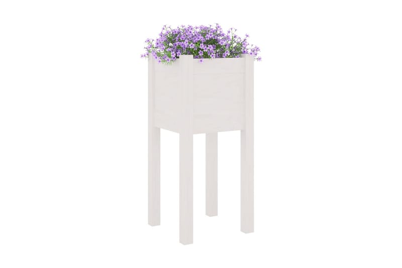Odlingslåda vit 31x31x70 cm massiv furu - Vit - Utemöbler - Övrigt utemöbler - Tillbehör - Övriga trädgårdstillbehör