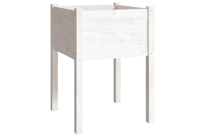 Odlingslåda vit 50x50x70 cm massiv furu - Vit - Utemöbler - Övrigt utemöbler - Tillbehör - Övriga trädgårdstillbehör