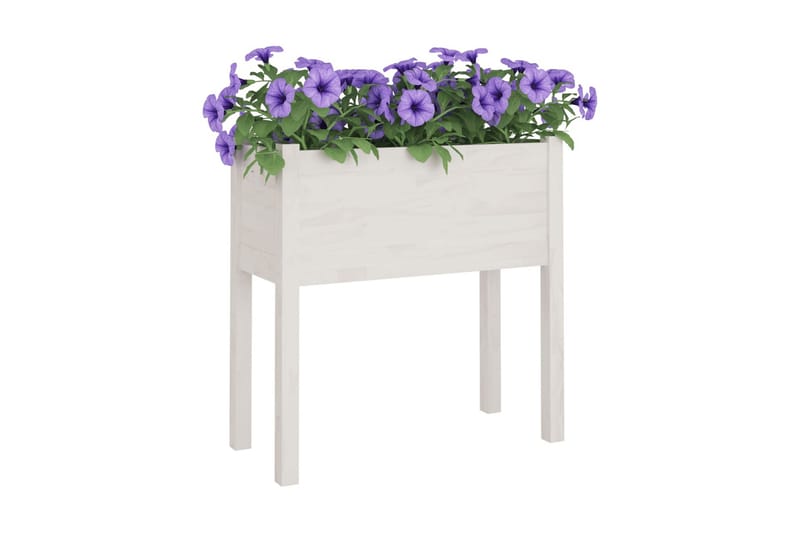 Odlingslåda vit 70x31x70 cm massiv furu - Vit - Utemöbler - Övrigt utemöbler - Tillbehör - Övriga trädgårdstillbehör