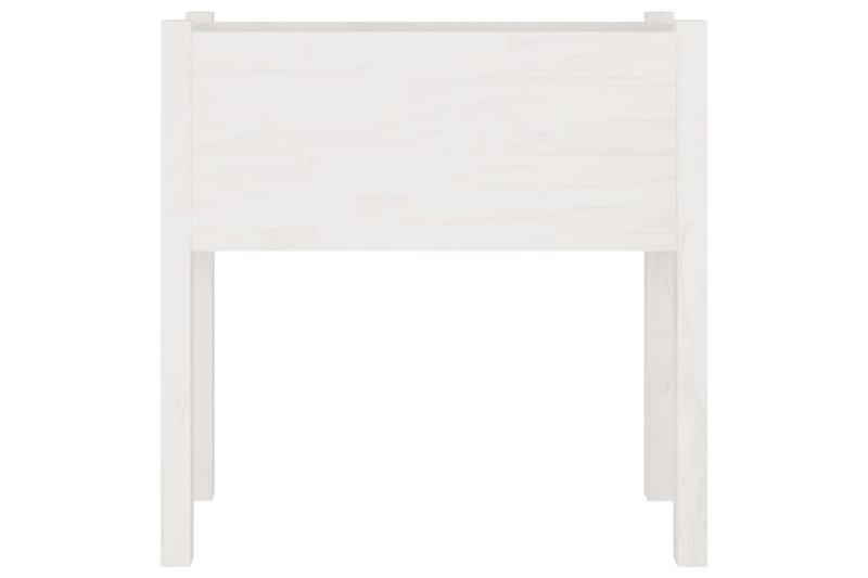 Odlingslåda vit 70x31x70 cm massiv furu - Vit - Utemöbler - Övrigt utemöbler - Tillbehör - Övriga trädgårdstillbehör