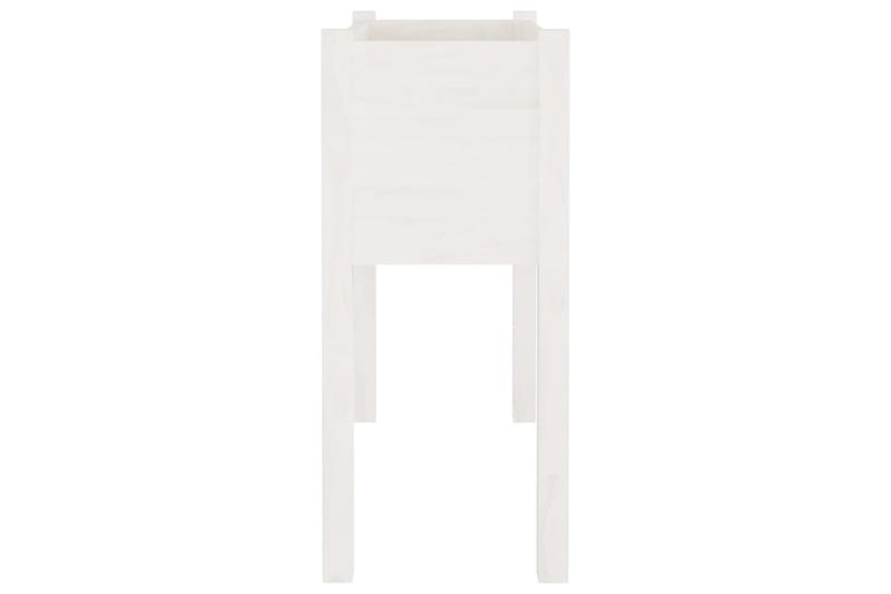 Odlingslåda vit 70x31x70 cm massiv furu - Vit - Utemöbler - Övrigt utemöbler - Tillbehör - Övriga trädgårdstillbehör