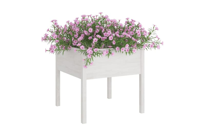Odlingslåda vit 70x70x70 cm massiv furu - Vit - Utemöbler - Övrigt utemöbler - Tillbehör - Övriga trädgårdstillbehör