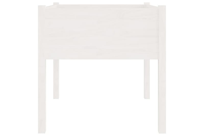 Odlingslåda vit 70x70x70 cm massiv furu - Vit - Utemöbler - Övrigt utemöbler - Tillbehör - Övriga trädgårdstillbehör