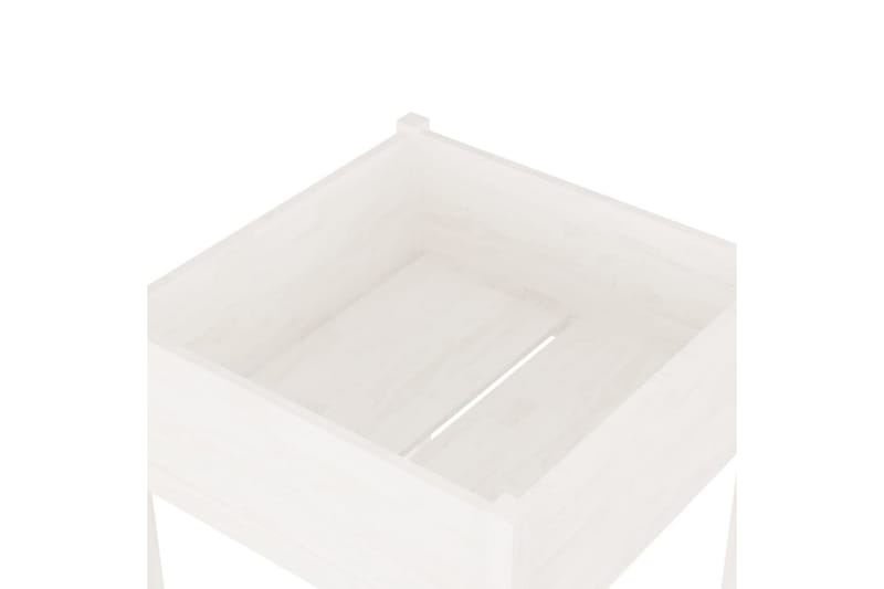 Odlingslåda vit 70x70x70 cm massiv furu - Vit - Utemöbler - Övrigt utemöbler - Tillbehör - Övriga trädgårdstillbehör