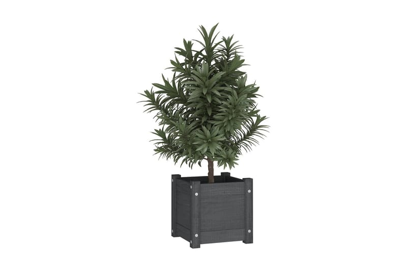 Odlingslådor 2 st grå 31x31x31 cm massiv furu - Grå - Utemöbler - Övrigt utemöbler - Tillbehör - Övriga trädgårdstillbehör
