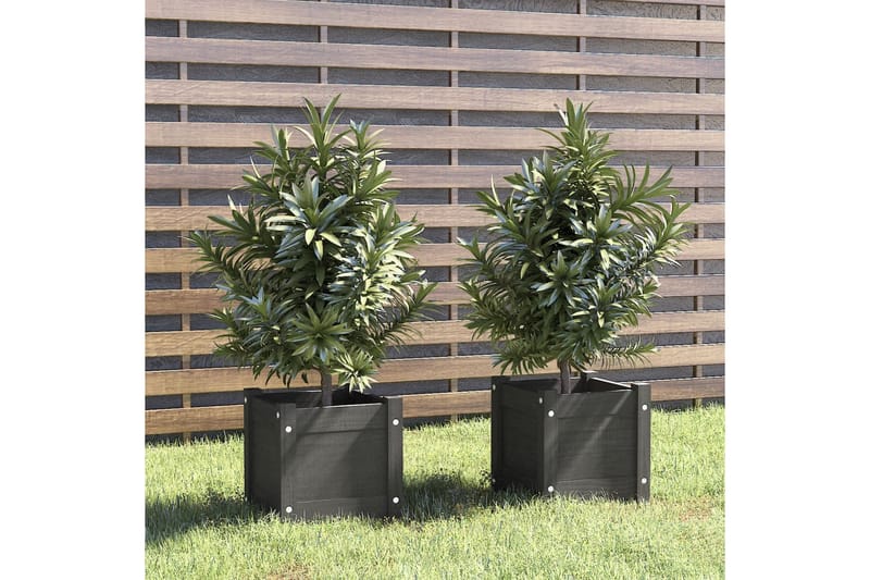 Odlingslådor 2 st grå 31x31x31 cm massiv furu - Grå - Utemöbler - Övrigt utemöbler - Tillbehör - Övriga trädgårdstillbehör