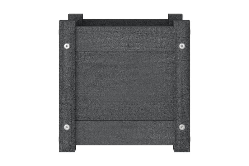 Odlingslådor 2 st grå 31x31x31 cm massiv furu - Grå - Utemöbler - Övrigt utemöbler - Tillbehör - Övriga trädgårdstillbehör