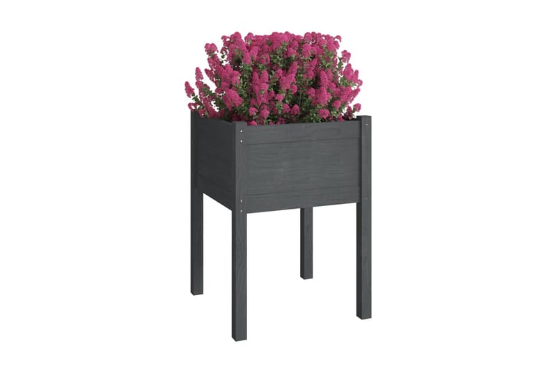 Odlingslådor 2 st grå 50x50x70 cm massiv furu - Grå - Utemöbler - Övrigt utemöbler - Tillbehör - Övriga trädgårdstillbehör