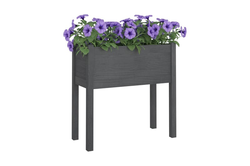 Odlingslådor 2 st grå 70x31x70 cm massiv furu - Grå - Utemöbler - Övrigt utemöbler - Tillbehör - Övriga trädgårdstillbehör