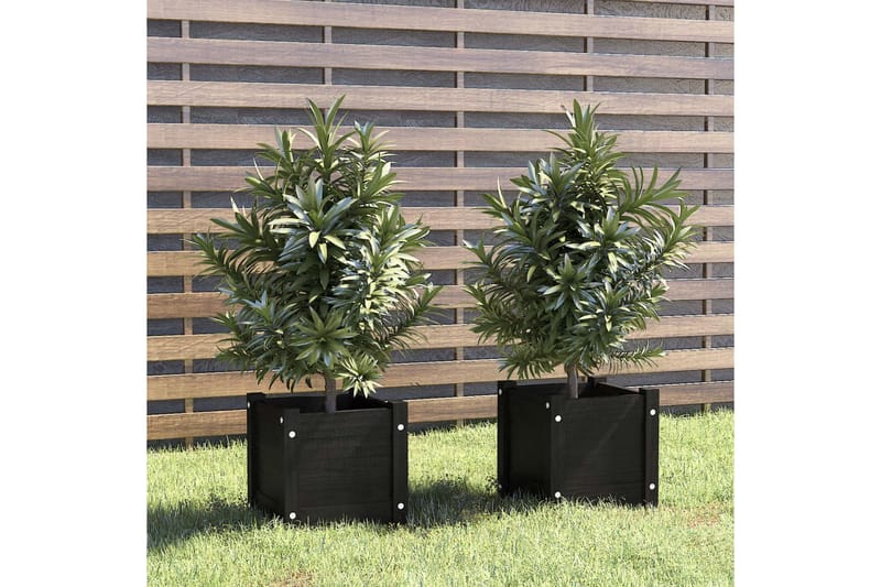 Odlingslådor 2 st svart 31x31x31 cm massiv furu - Svart - Utemöbler - Övrigt utemöbler - Tillbehör - Övriga trädgårdstillbehör