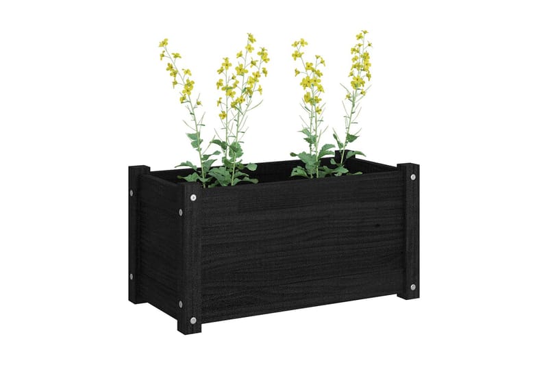 Odlingslådor 2 st svart 60x31x31 cm massiv furu - Blomlåda - Övriga trädgårdstillbehör