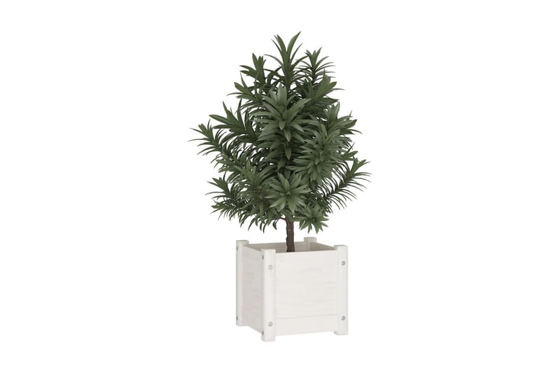 Odlingslådor 2 st vit 31x31x31 cm massiv furu - Vit - Utemöbler - Övrigt utemöbler - Tillbehör - Övriga trädgårdstillbehör