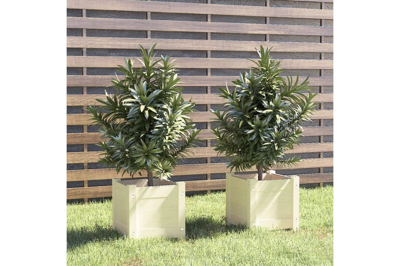 Odlingslådor 2 st vit 31x31x31 cm massiv furu - Vit - Utemöbler - Övrigt utemöbler - Tillbehör - Övriga trädgårdstillbehör