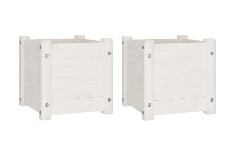 Odlingslådor 2 st vit 31x31x31 cm massiv furu - Vit - Utemöbler - Övrigt utemöbler - Tillbehör - Övriga trädgårdstillbehör