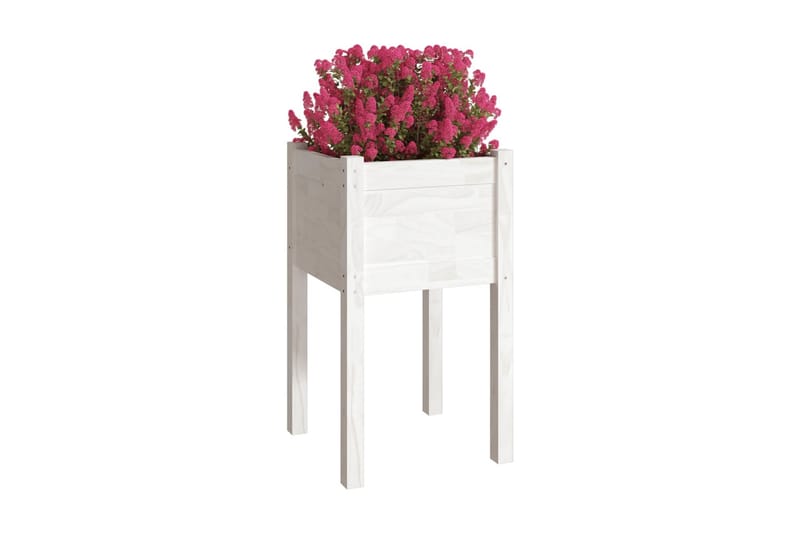 Odlingslådor 2 st vit 40x40x70 cm massiv furu - Vit - Utemöbler - Övrigt utemöbler - Tillbehör - Övriga trädgårdstillbehör