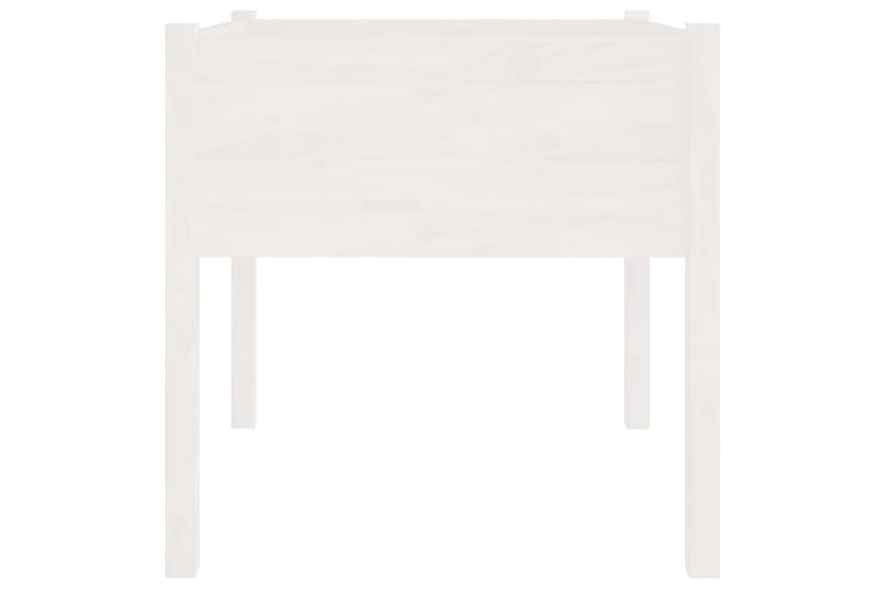 Odlingslådor 2 st vit 70x70x70 cm massiv furu - Vit - Utemöbler - Övrigt utemöbler - Tillbehör - Övriga trädgårdstillbehör