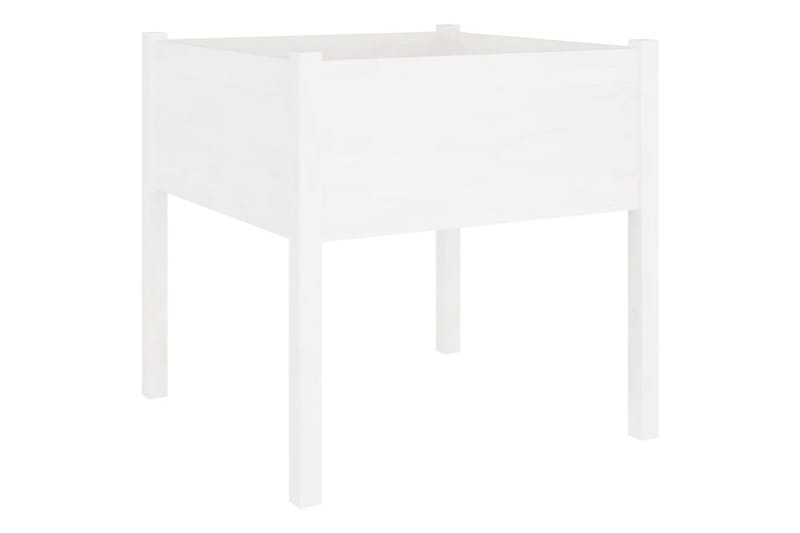 Odlingslådor 2 st vit 70x70x70 cm massiv furu - Vit - Utemöbler - Övrigt utemöbler - Tillbehör - Övriga trädgårdstillbehör