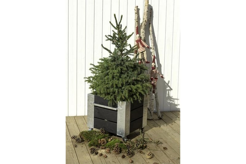 PLUS Cubic blomlåda 46x50x45 cm med stålhörn och hjul - Utemöbler - Övrigt utemöbler - Tillbehör - Övriga trädgårdstillbehör