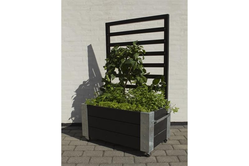 PLUS Cubic Blomlåda med spaljé 87x50x130 cm med stålhörn och - Blomlåda - Övriga trädgårdstillbehör
