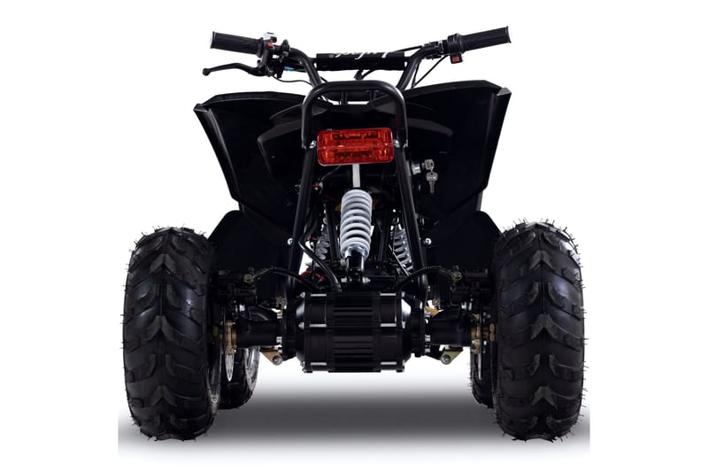 Premium el-ATV för barn 1200W 48V 12Ah batteri Svart - Utemöbler - Övrigt utemöbler - Tillbehör - Övriga trädgårdstillbehör