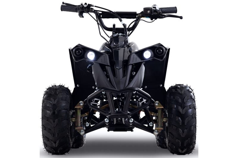 Premium el-ATV för barn 1200W 48V 12Ah batteri Svart - Utemöbler - Övrigt utemöbler - Tillbehör - Övriga trädgårdstillbehör