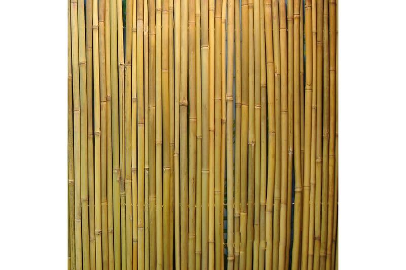 Stansat Bambusstaket I Trädgården 2x3M - Staket & grindar