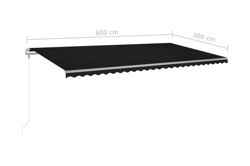 Automatisk markis med vindsensor & LED 600x300 cm antracit - Antracit - Markiser - Terrassmarkis
