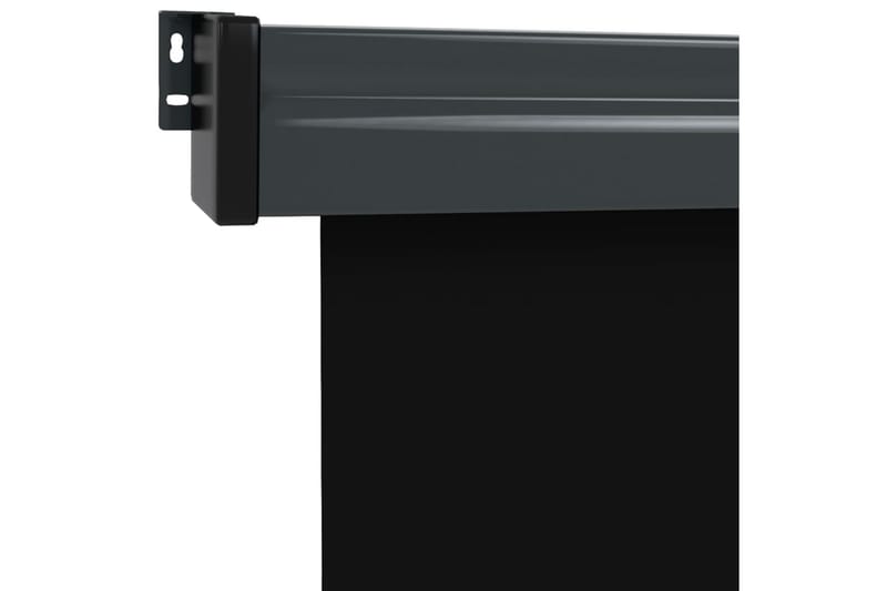 Balkongmarkis 140x250 cm svart - Svart - Markiser - Sidomarkis - Skärmskydd & vindskydd