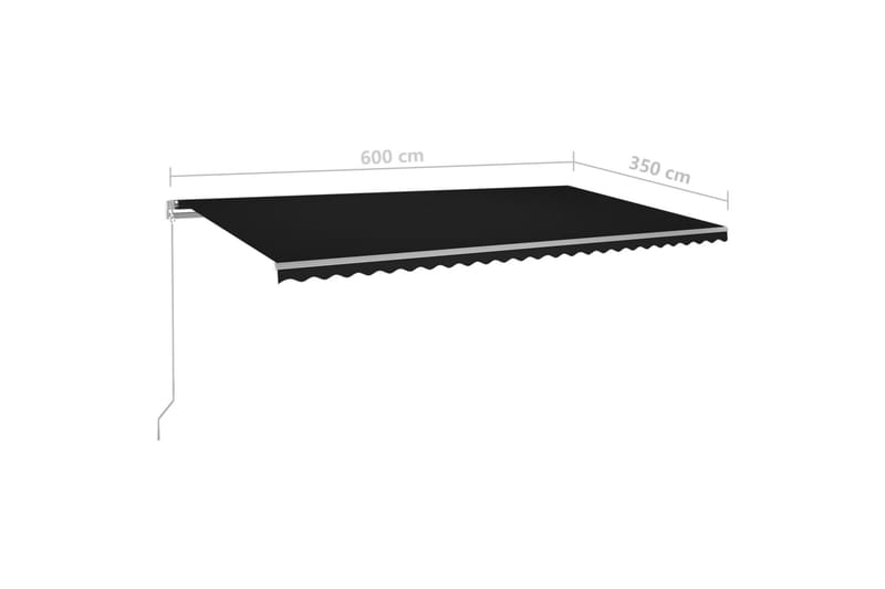 Fristående markis automatisk 600x350 cm antracit - Grå - Utemöbler - Solskydd - Markiser - Fönstermarkis