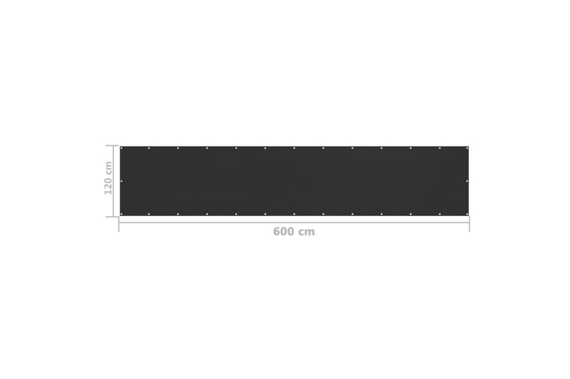 Balkongskärm svart 120x600 cm HDPE - Svart - Skärmskydd & vindskydd