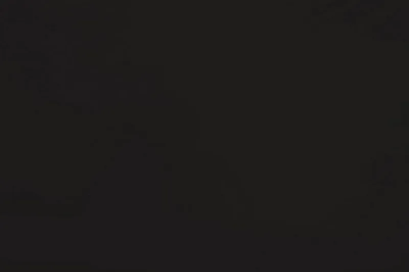 Boldman Avlastningsbord Utomhus och Sidobord Utomhus 100 cm Trä - Svart - Utemöbler - Trädgårdsbord & Utebord - Sidobord utomhus