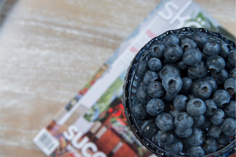 Leicester Runt Sidobord och Avlastningsbord Utomhus 50 cm - Grå - Utemöbler - Trädgårdsbord & Utebord - Sidobord utomhus