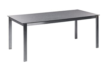 ZERVO Matbord Utomhus 180x90 cm Svart/Silver