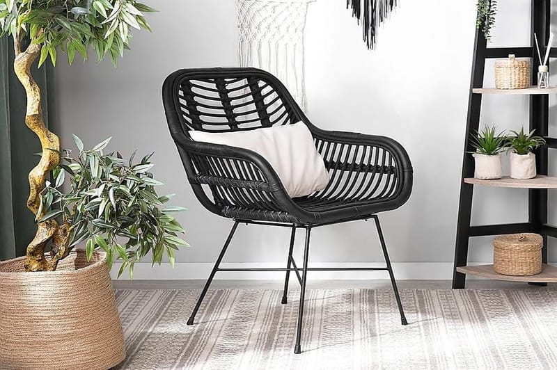 Canora Trädgårdsstol 51 cm - Svart - Utemöbler - Utestolar & fåtöljer - Matstolar ute