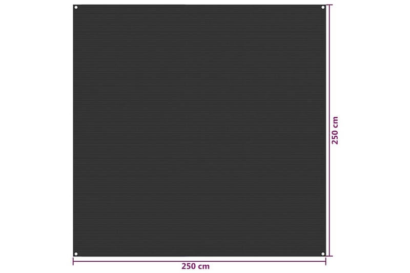 Tältmatta 250x250 cm antracit HDPE - Utemöbler - Utomhusförvaring - Trädgårdstält & förvaringstält