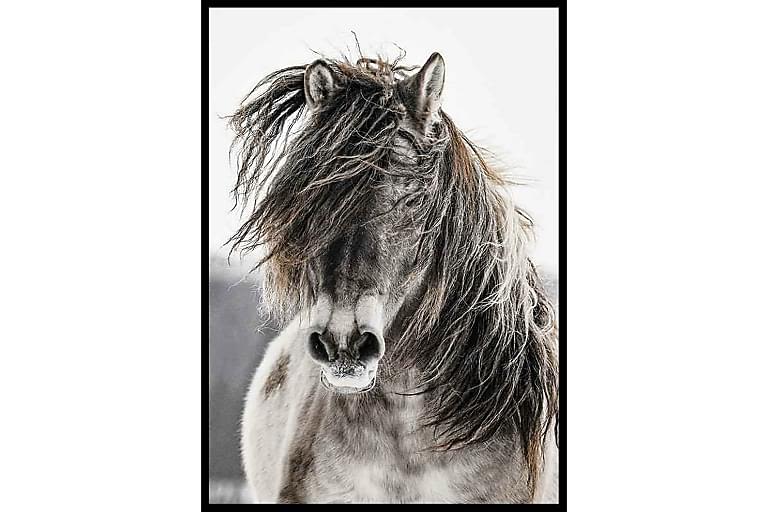 Fotografiska posters